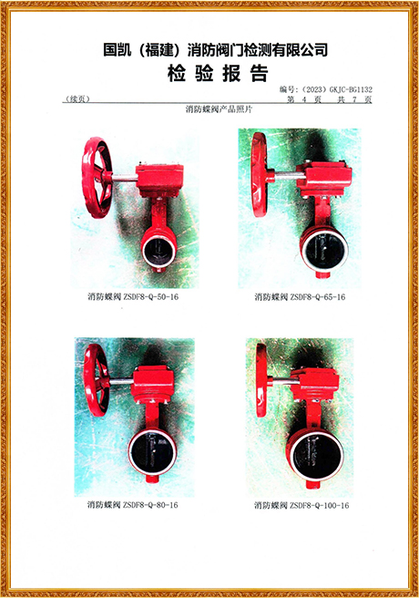 1132 Hongyuan (Grooved Turbine Fire Butterfly Valve) Inspection Report