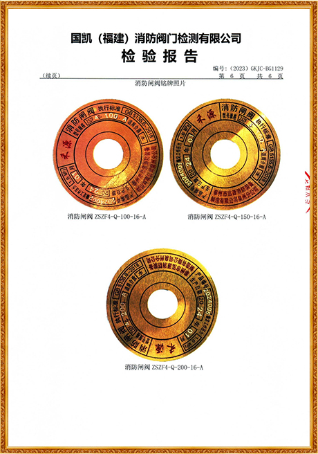 1129 Hongyuan (Flange Concealed Stem Fire Gate Valve) Inspection Report
