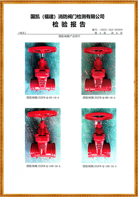 0949 Hongyuan (Grooved Concealed Stem Fire Gate Valve) Inspection Report
