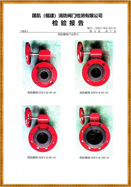 1131 Hongyuan (Flange Turbine Fire Butterfly Valve) Inspection Report