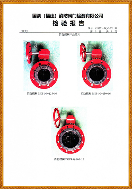 1131 Hongyuan (Flange Turbine Fire Butterfly Valve) Inspection Report