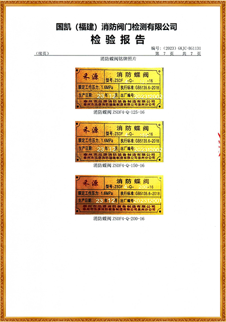 1131 Hongyuan (Flange Turbine Fire Butterfly Valve) Inspection Report