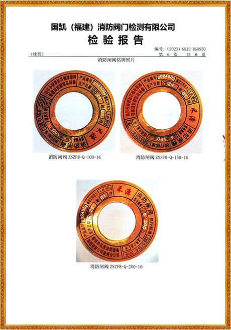 0950 Hongyuan (Grooved Rising Stem Fire Gate Valve) Inspection Report
