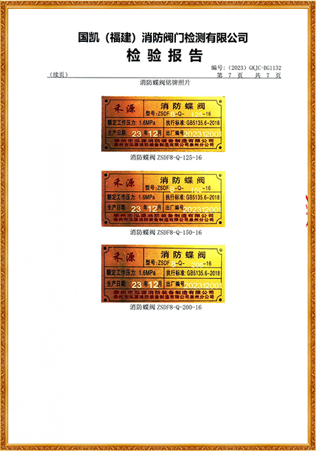 1132 Hongyuan (Grooved Turbine Fire Butterfly Valve) Inspection Report