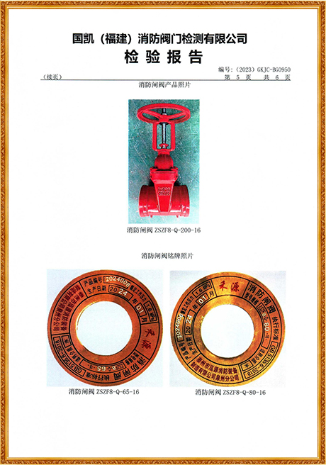 0950 Hongyuan (Grooved Rising Stem Fire Gate Valve) Inspection Report