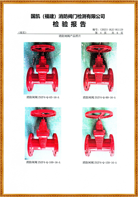 1129 Hongyuan (Flange Concealed Stem Fire Gate Valve) Inspection Report