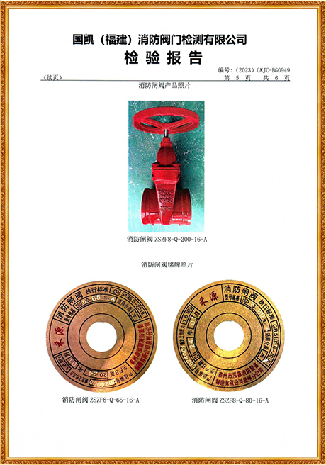0949 Hongyuan (Grooved Concealed Stem Fire Gate Valve) Inspection Report