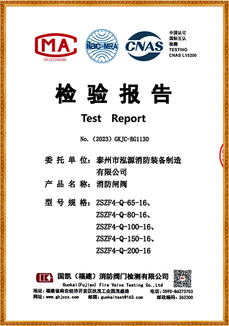 1130 Hongyuan (Flange Rising Stem Fire Gate Valve) Inspection Report