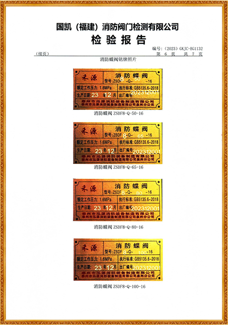 1132 Hongyuan (Grooved Turbine Fire Butterfly Valve) Inspection Report