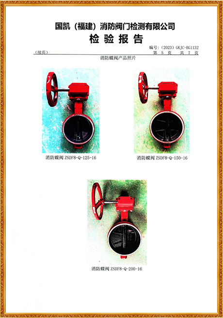 1132 Hongyuan (Grooved Turbine Fire Butterfly Valve) Inspection Report