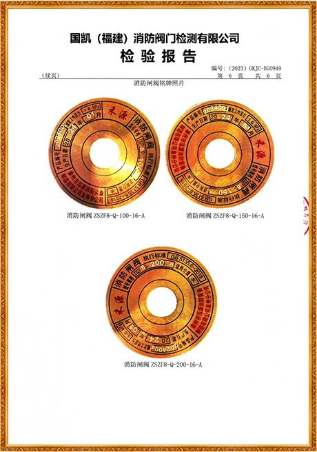 0949 Hongyuan (Grooved Concealed Stem Fire Gate Valve) Inspection Report