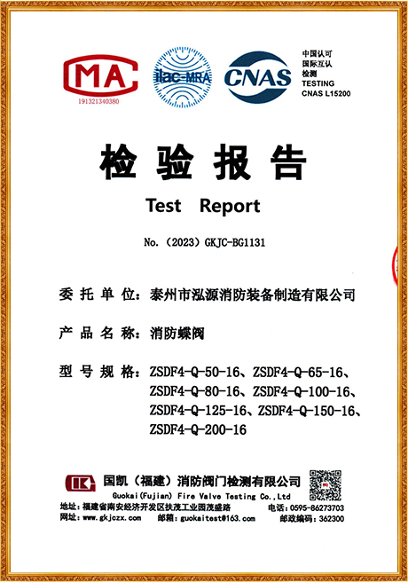 1131 Hongyuan (Flange Turbine Fire Butterfly Valve) Inspection Report