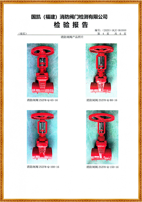 0950 Hongyuan (Grooved Rising Stem Fire Gate Valve) Inspection Report