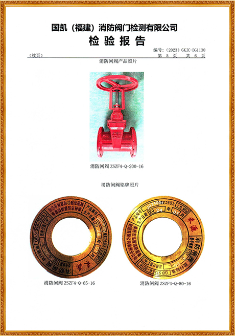 1130 Hongyuan (Flange Rising Stem Fire Gate Valve) Inspection Report