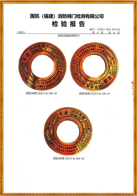 1130 Hongyuan (Flange Rising Stem Fire Gate Valve) Inspection Report